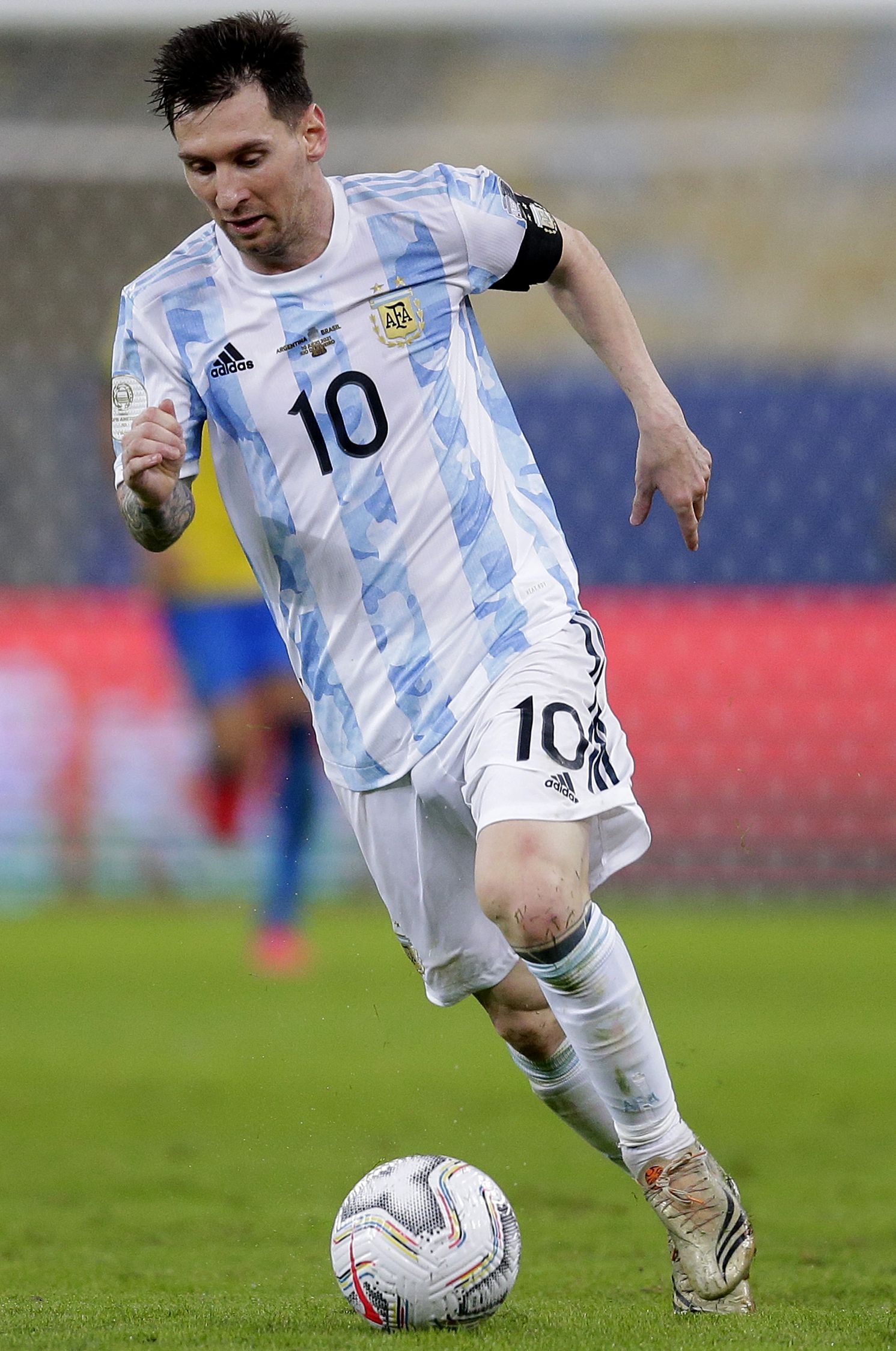 本文从体系 本文从体系